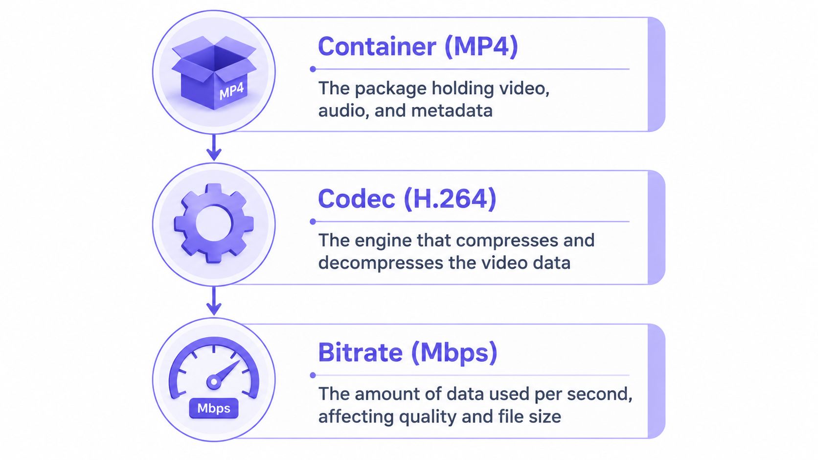 A diagram explaining video file terminology, showing a container, a codec, and a bitrate with definitions.